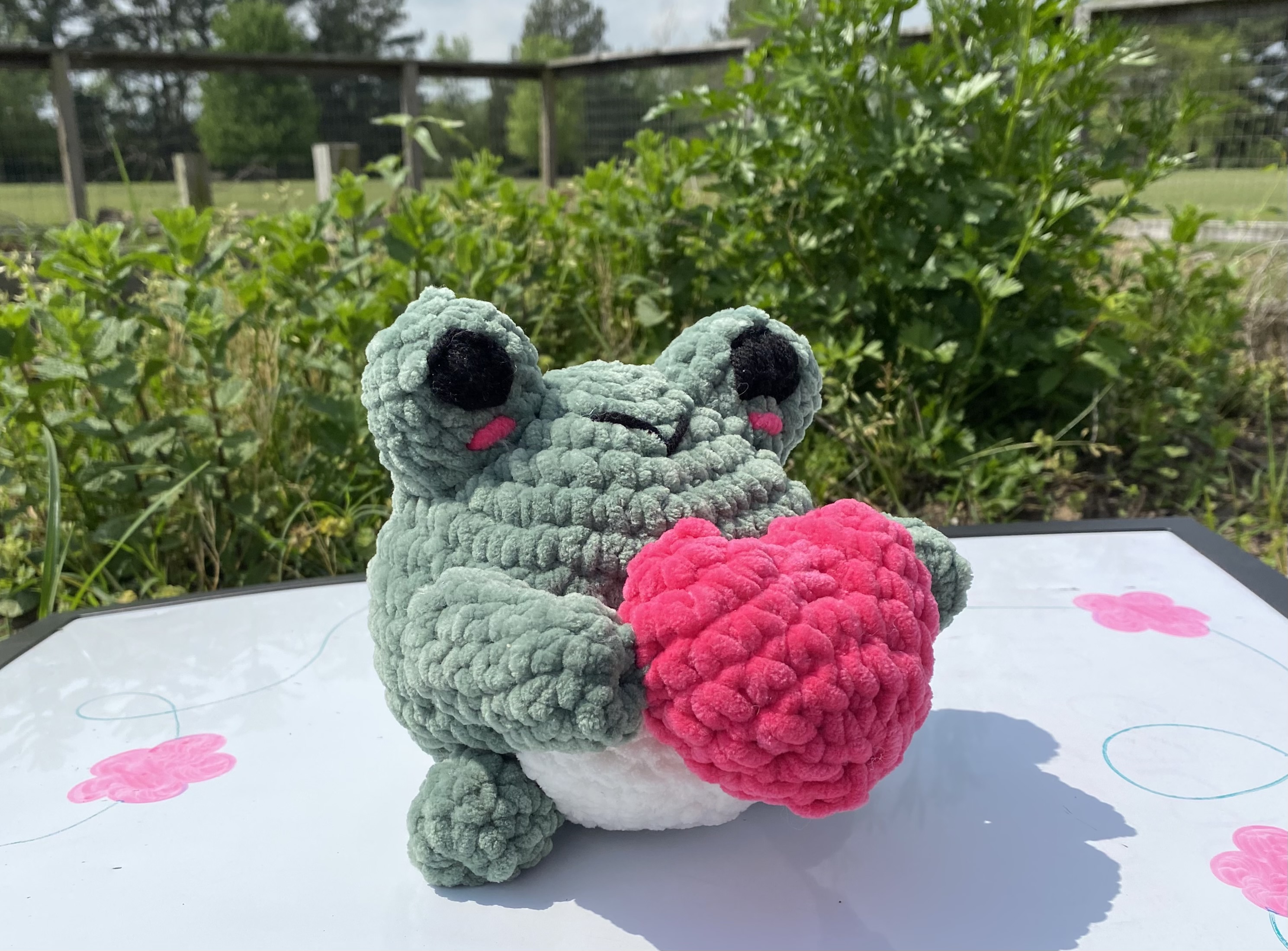 Green and Pink Heart Frog